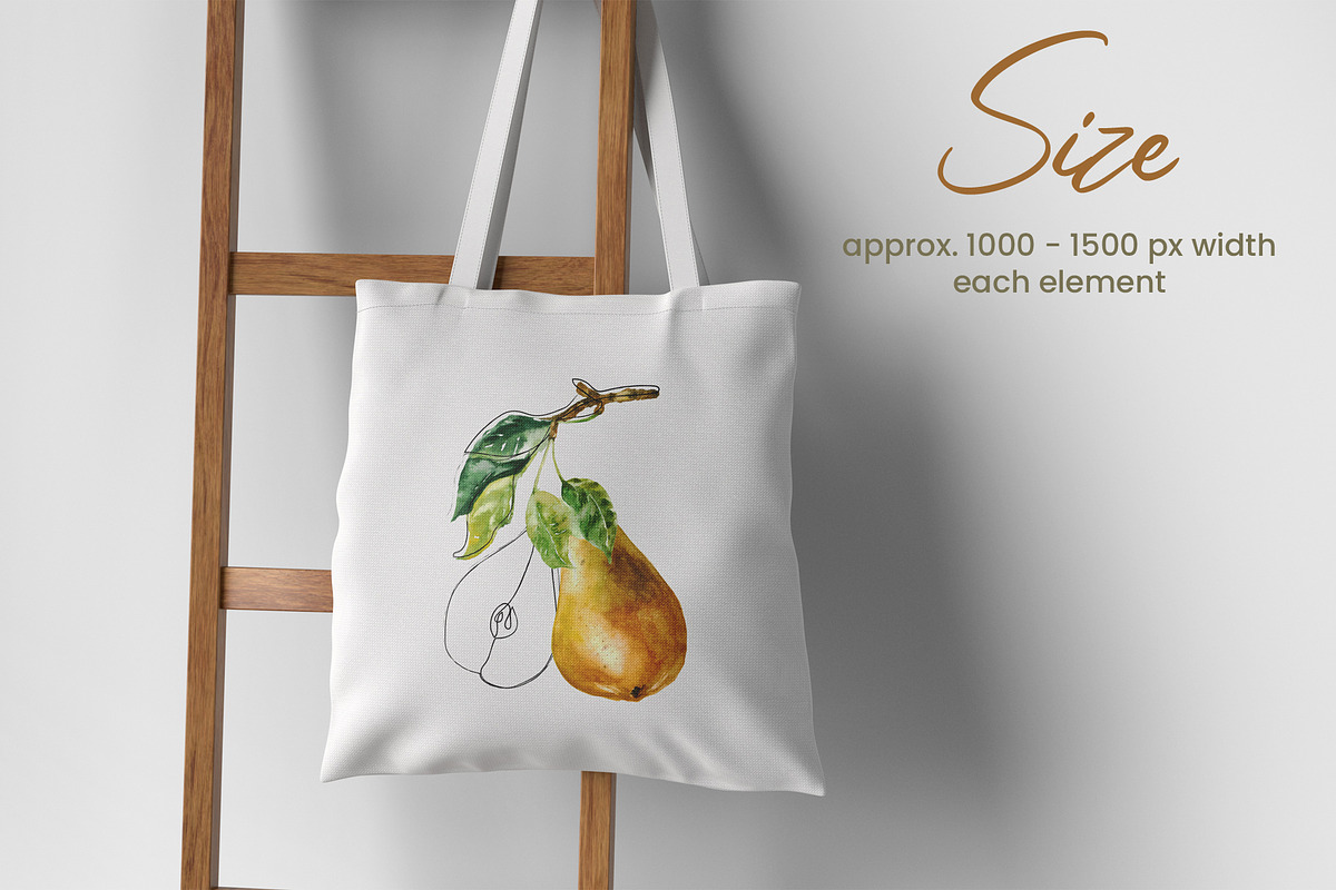 Pear Wine - Fruit Watercolor Clipart, a Decorative Illustration by foxsong (Photo 5 of 16)