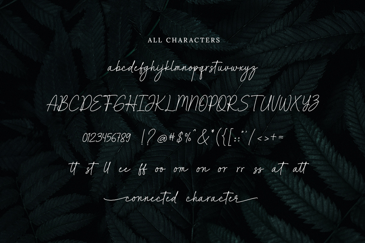 fashionista - modern script font, a Script Font by Bluestype Studio (Photo 9 of 10)