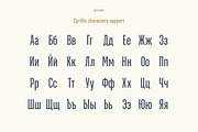 Green Grove // 3 fonts, a Serif Font by True Story Letterworks (Thumbnail 4 of 12)