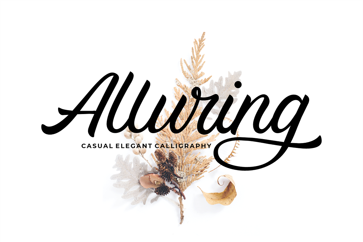 Alluring Calligraphy Fonts, a Script Font by 50Fox (Photo 1 of 14)