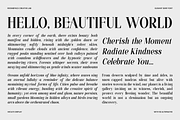 Hecate Display Modern Editorial Font, a Serif Font by roomspace creative lab (Thumbnail 1 of 14)