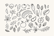 Autumn Doodles & Fall Clipart, a Seasonal Illustration by Oktyabr (Thumbnail 2 of 5)
