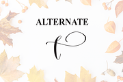 Autumn | Script Font, a Handwritten Font by Scratchones (Thumbnail 8 of 9)