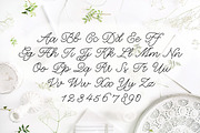 Penelope Larissa Font, a Script Font by Printable Wisdom (Thumbnail 3 of 3)