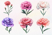 Watercolor Carnation Flower Clipart, an Illustration by Dream Creation (Thumbnail 6 of 6)