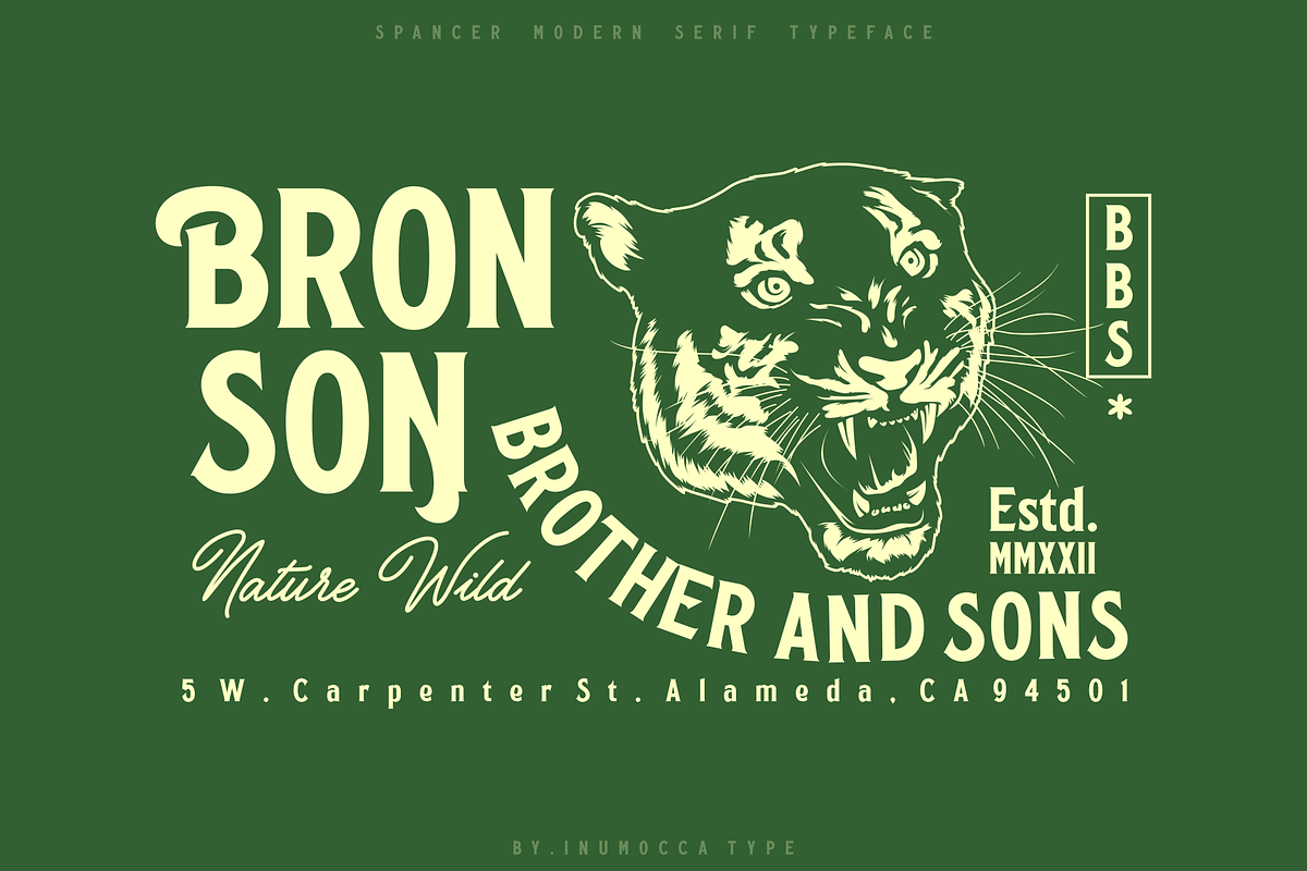 Spancer + BONUS, a Serif Font by inumocca_type (Photo 5 of 11)