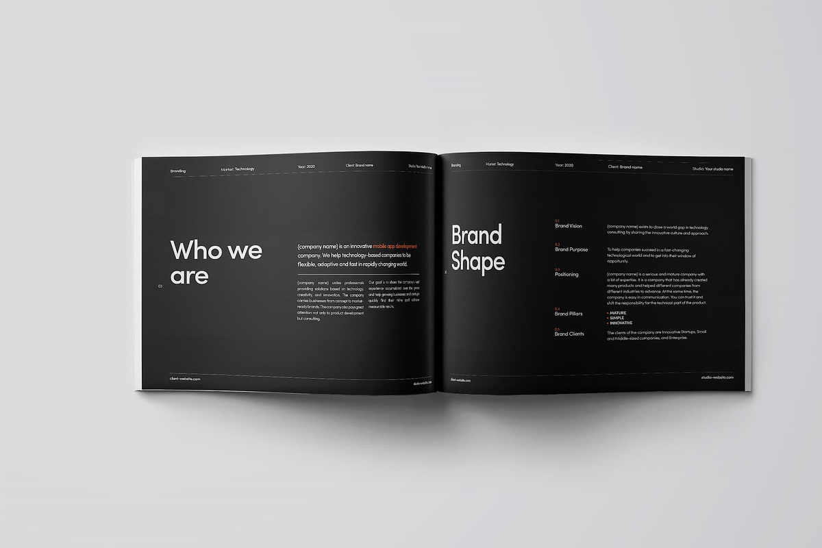The Professional Style Guide Kit, a Presentation Template by Smotrow Related (Photo 2 of 7)