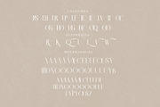 LITERACY Modern and Stylish Serif, a Serif Font by Storytype Studio (Thumbnail 14 of 15)