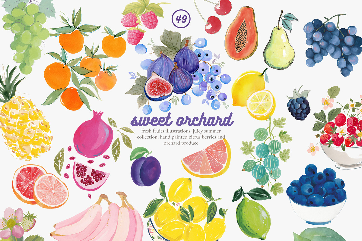 Fruit watercolor clipart set, a Decorative Illustration by Patishop Art (Photo 1 of 7)