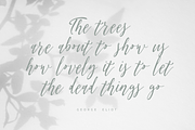 Olis — handmade font family, a Script Font by Roman Polishchuk (Thumbnail 4 of 5)