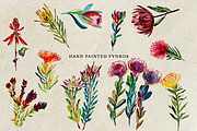 South African Flowers, a Decorative Illustration by Karliefie (Thumbnail 2 of 5)