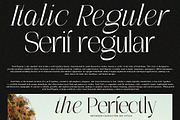 The Perfectly Migthem (11 Font), a Serif Font by IM Studio (Thumbnail 3 of 9)