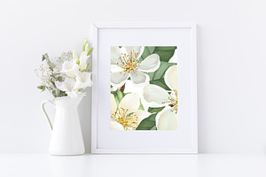 White Blossom Collection