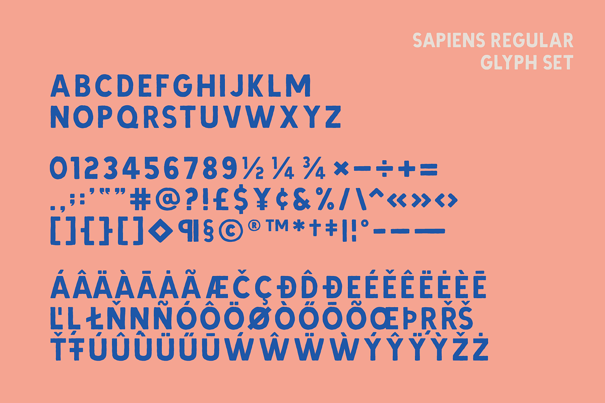 Sapiens Font Family, a Sans Serif Font by Hemphill Co (Photo 11 of 13)
