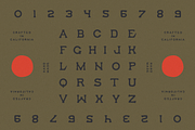 OCOTILLO TYPEFACE, a Sans Serif Font by James Coffman Design (Thumbnail 2 of 3)