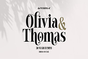 Chicago Darling Serif, a Serif Font by Gatype (Thumbnail 3 of 10)