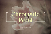 Qalgeri – Modern Elegant Serif Font, a Serif Font by BrandSemut (Thumbnail 6 of 8)