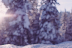 Winter morning containing idaho, tree, and blurred background