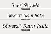 Silvera Text, a Serif Font by Soft Creative (Thumbnail 2 of 10)