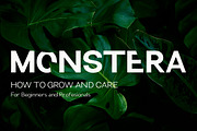 Kencana, a Sans Serif Font by Funtype (Thumbnail 3 of 13)