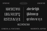 MOLIKA | Display Serif Typeface, a Serif Font by ToniStudio (Thumbnail 9 of 12)