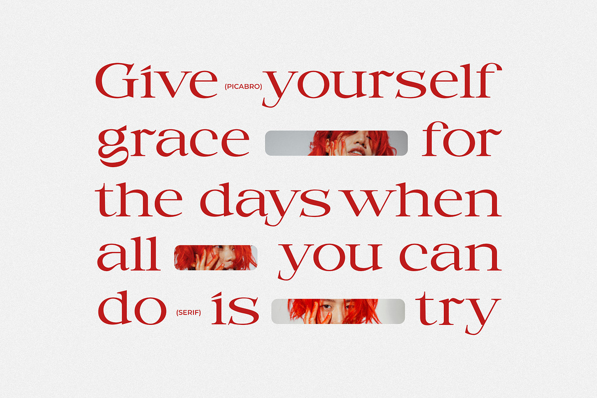 Picabro Serif Font, a Serif Font by Heinzel Std (Photo 2 of 11)
