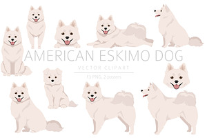 American Eskimo Dog Clipart