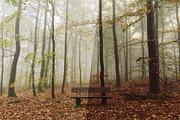 Fall - Autmun Photoshop Actions, an Action Add-On by Bato (Thumbnail 7 of 10)