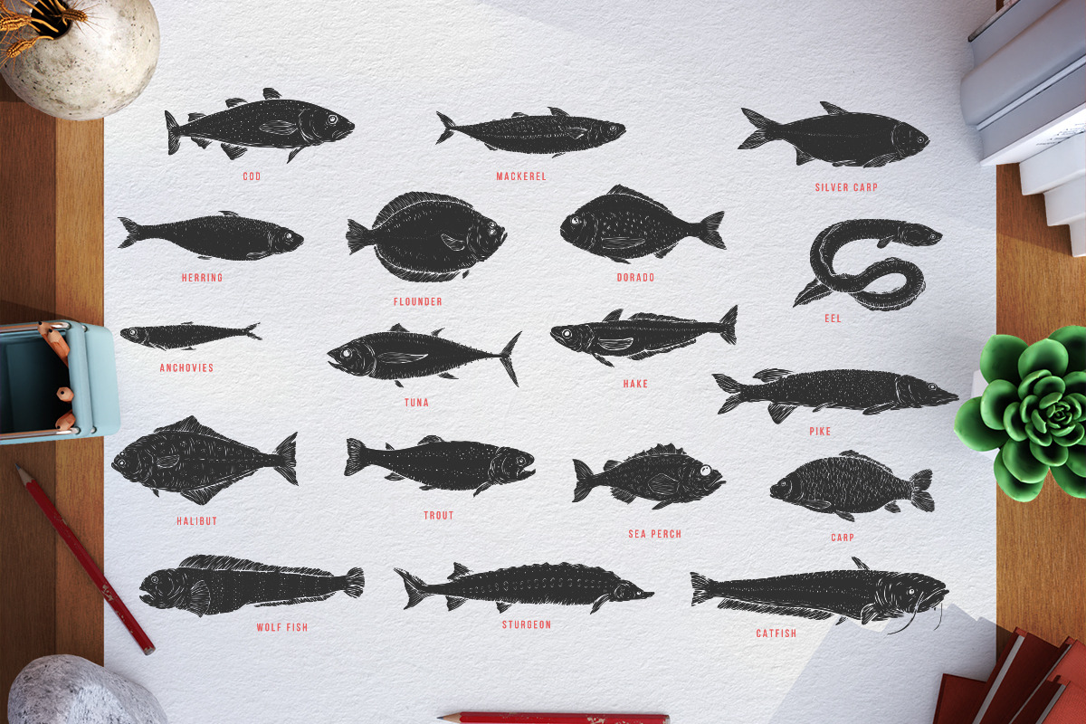 Fish, an Animal Illustration by CGterminal (Photo 2 of 7)
