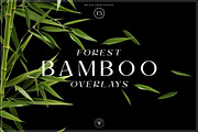 MEGA BUNDLE 2400+ Overlays, a Texture Graphic by Kaleriia (Thumbnail 288 of 300)