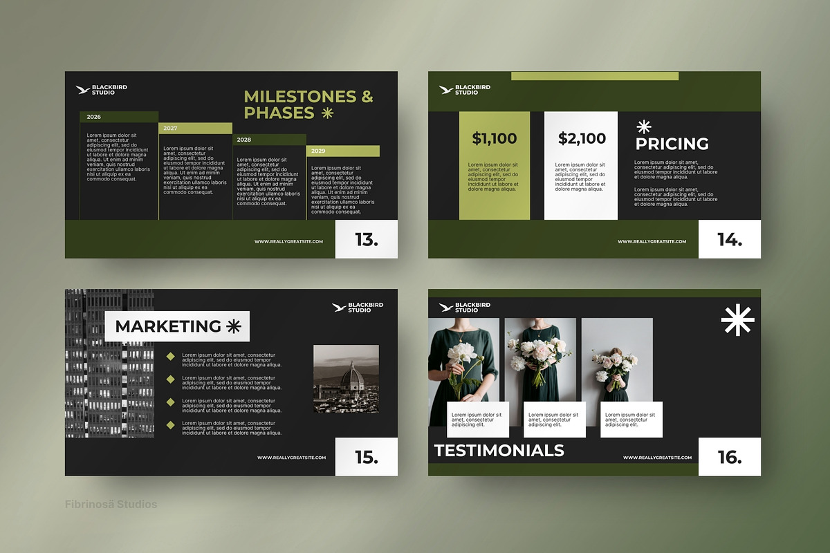 BlackBird - Business Pitch Deck preview 2