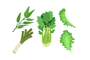 Flat Vegetable Clipart Collection, a Graphic by judayartworks (Thumbnail 9 of 14)