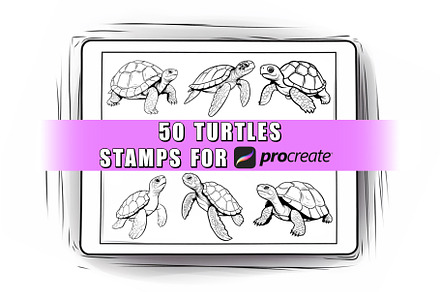 50 Turtles Procreate Stamps Brushes