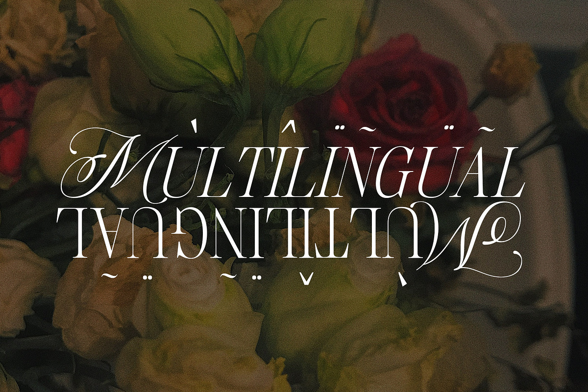 Blouse Lavender Display Serif, a Serif Font by Violet Natural (Photo 11 of 11)