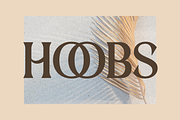 Darena - Serif Display Font, a Serif Font by overlaytemplates (Thumbnail 2 of 8)