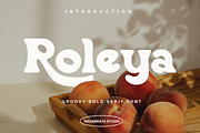 Roleya - Groovy Bold Font, a Serif Font by RagamKata (Thumbnail 1 of 10)