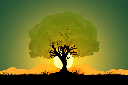 Silhouette of a green tree at sunset, a Wallpaper Photo by OSORIOartist