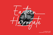 Eastern Harrogate | Monoline Font, a Handwritten Font by Lemonthe (Thumbnail 1 of 8)