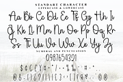 Diary Camellia, a Handwritten Font by FreshTypeINK (Thumbnail 4 of 8)