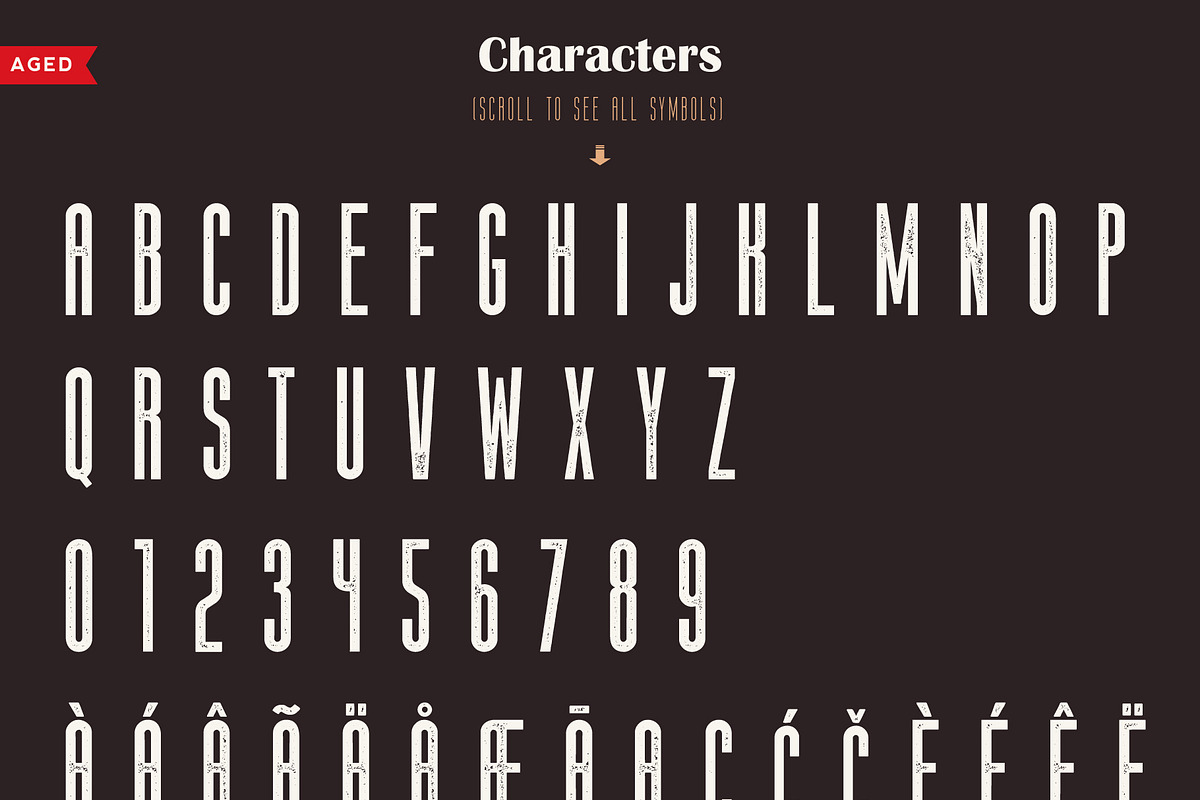 The Harmony - Condensed font family, a Sans Serif Font by Roman Paslavsky (Photo 10 of 12)