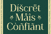 Heidan Vintage, a Serif Font by Craft Supply Co. (Thumbnail 4 of 8)