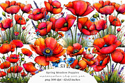 Spring meadow poppies clipart, an Illustration by SinaCreation (Thumbnail 1 of 11)