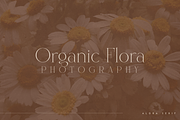 Alora - serif typeface | 4 fonts, a Serif Font by Only Fonts (Thumbnail 2 of 10)