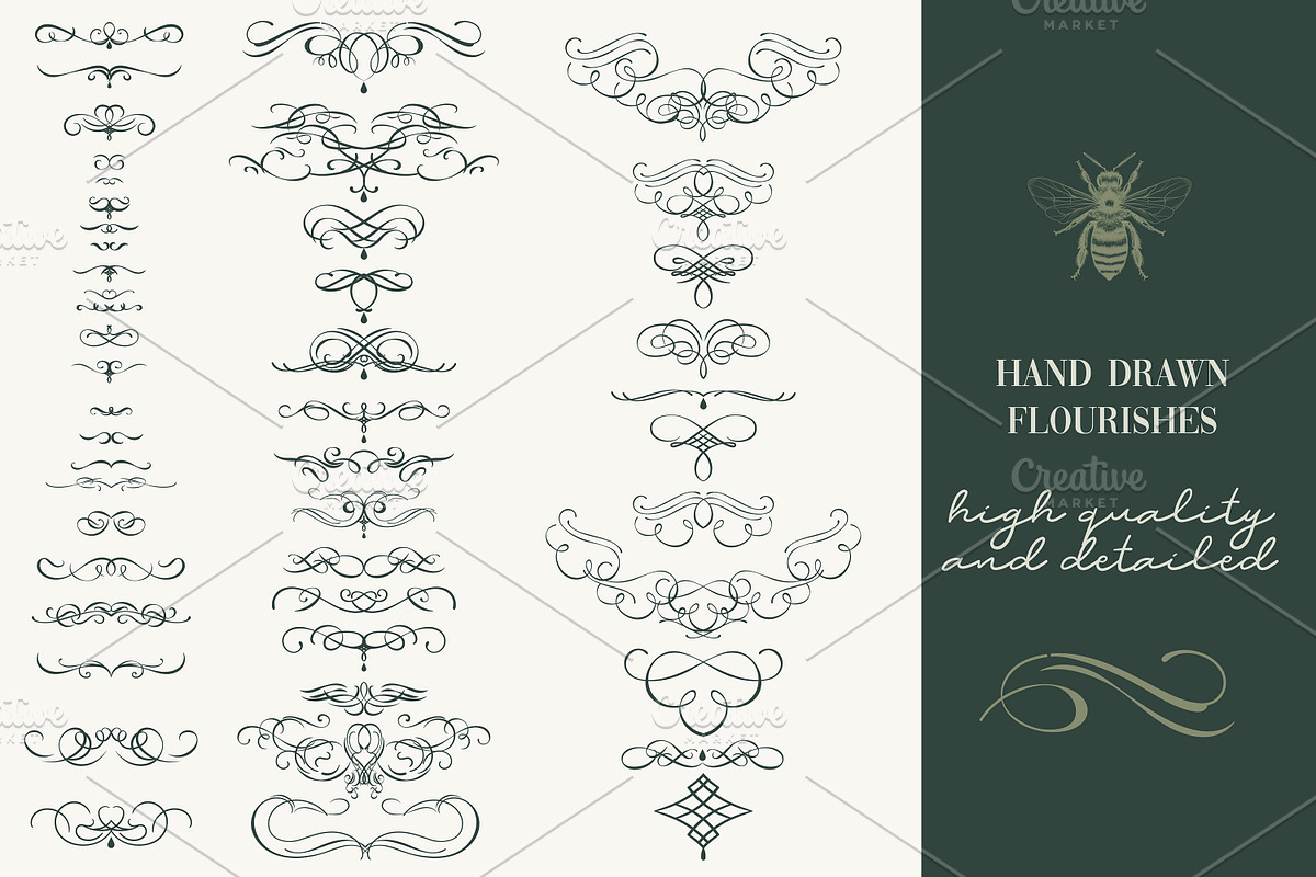 Calligraphic set of vintage flourish, an Object Illustration by FleurArt (Photo 7 of 12)