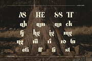 Lasthen - Serif Font, a Serif Font by Randi Irvan | Rvandtype (Thumbnail 11 of 12)