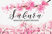 Sakura – watercolor graphic elements, an Illustration by ARTVracovska (Thumbnail 1 of 5)