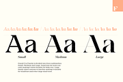 Grand Cru Superfamily, a Serif Font by Fenotype (Thumbnail 5 of 14)