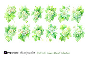 Watercolor Grapes Clipart, an Object Illustration by crafty (Thumbnail 9 of 11)