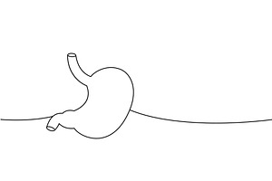 Stomach one line continuous drawing, a Healthcare Illustration by GraphiShop