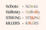 Volkrome, a Sans Serif Font by Megatype (Thumbnail 14 of 18)